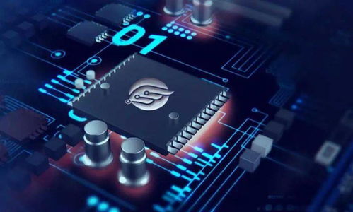 創業張江 物聯網領域的 后浪 芯翼信息科技勢頭正勁